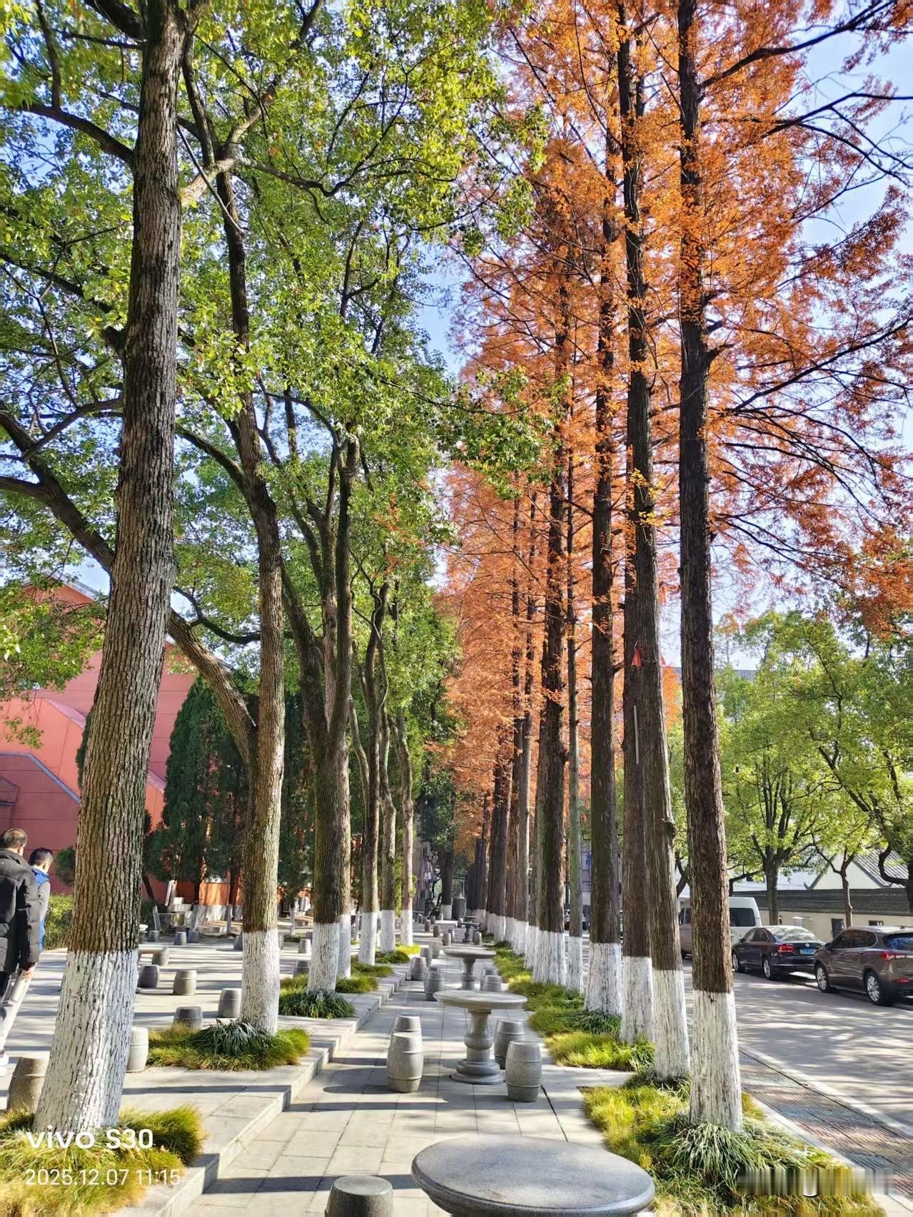 2025年还剩16天了，这一年是人生中最苦难的一年，是地狱里的一年。没有一天是能