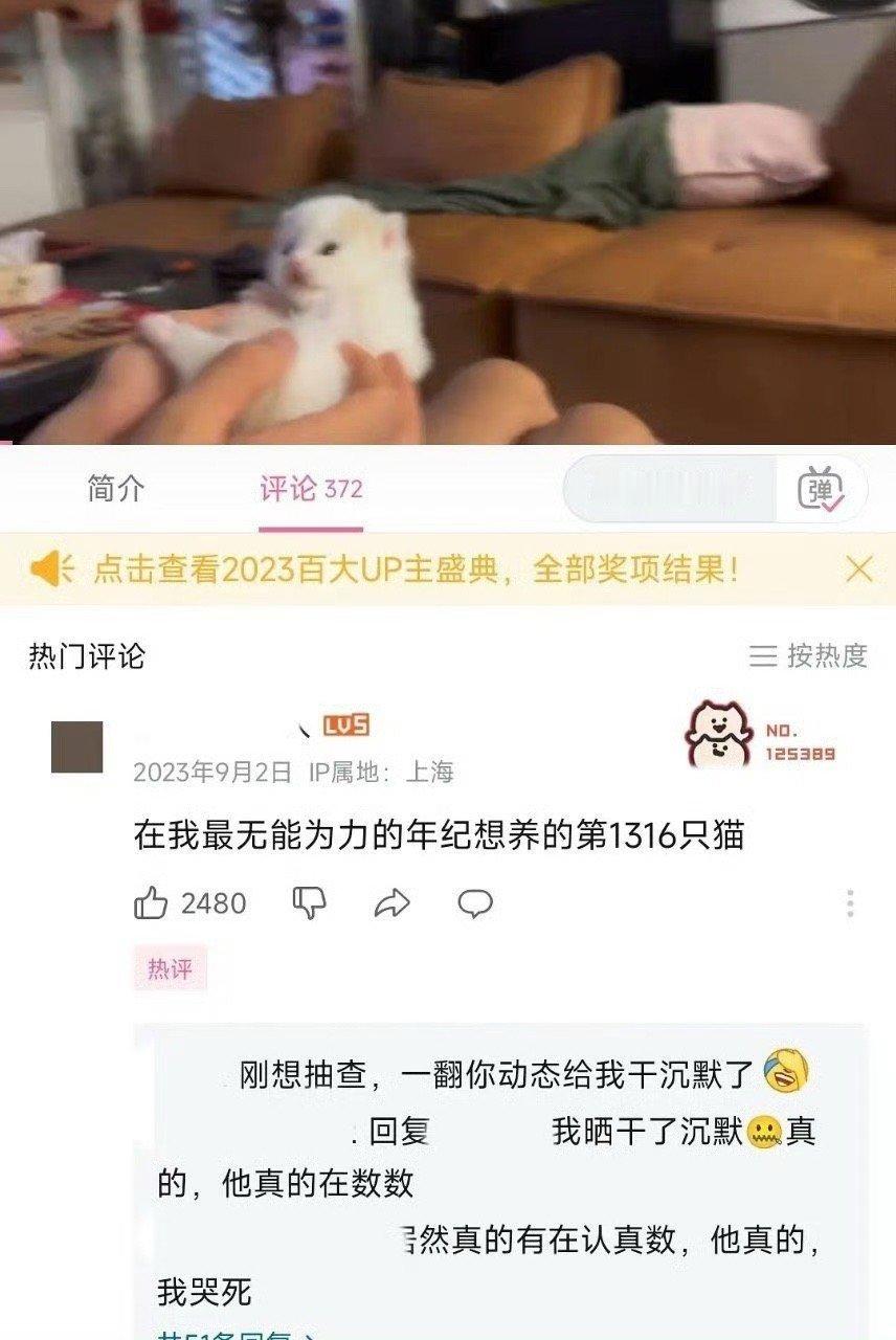 《论无能为力的时间线到底有多长》 ​​​