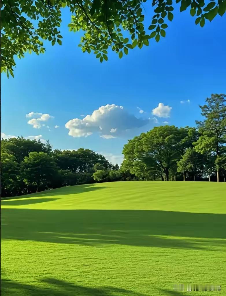 异地看病太难了。

医保改革后，医保卡里的钱少了不少，以前每月都能打进来好几百块