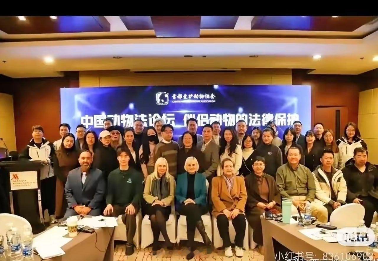 中国的动物保护，为啥头排坐几个老外？