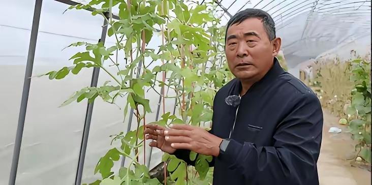 一位没上过大学，连高中都没毕业的黑龙江农民，拒绝300万美元的挖角，攻克了让美国