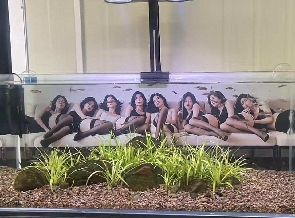 梦幻水族馆，美人鱼般的美景，尽在眼前！