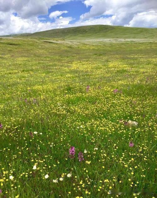上联：枫染秋霜山似画
下联：草沐春雨塬如锦
