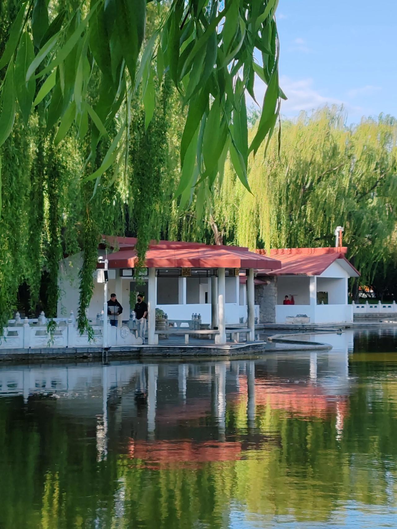 春日生活打卡季春天里的随手拍。