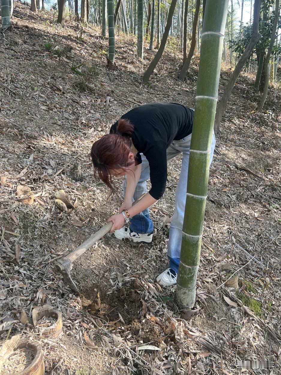 福建阿姨挖笋忘拿外套，几天后再找直接看愣神。

原以为是被人捡走，凑近才发现外套