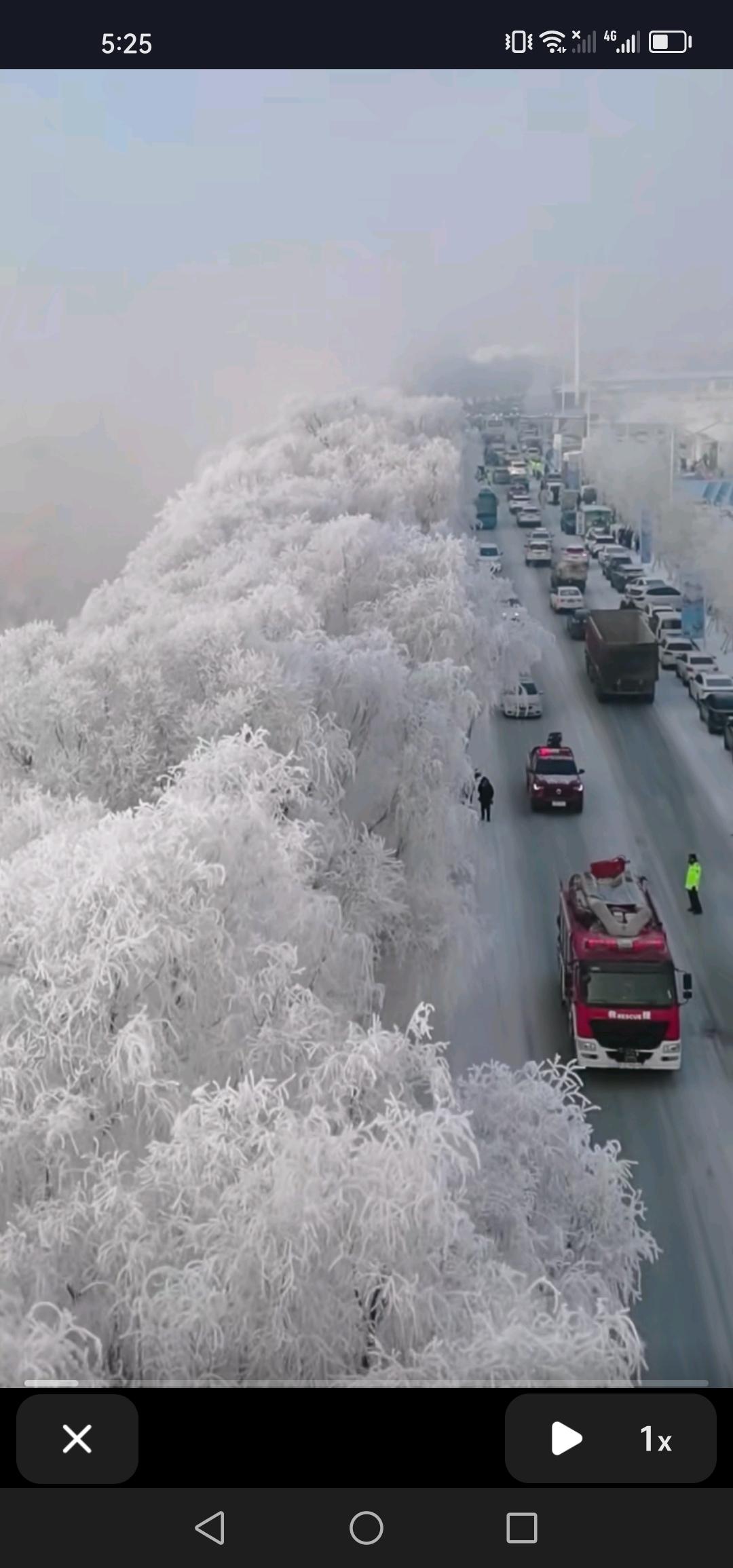 11月28日清晨，吉林市迎来了首场五星级雾凇奇观。

今日拂晓，松花江畔银妆素裹