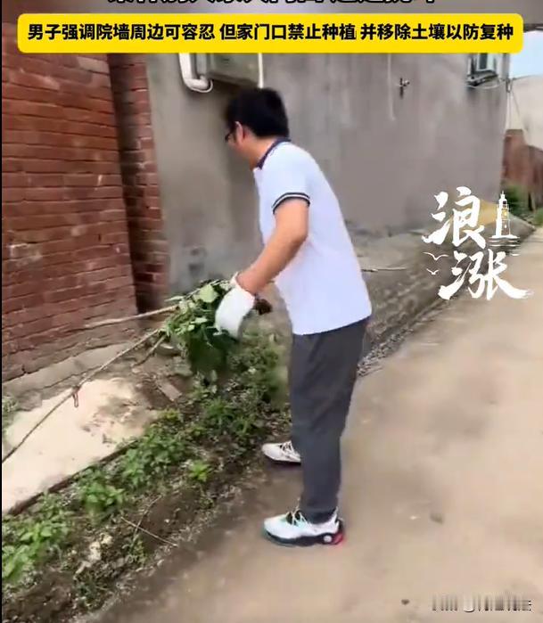 河南，男子的邻居很没道德，就喜欢跑他家门口来种菜。男子心想，对方怎么不直接搬我家