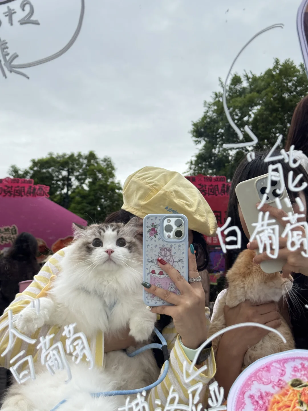 柳州精酿节！｜社牛小猫的第一个啤酒节🍻
