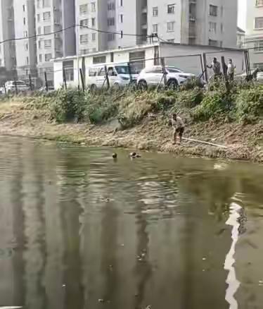 暮年不退热忱！亳州退休教师勇救落水孩童，尽显师者风骨
 （个人观点仅供参考，无任
