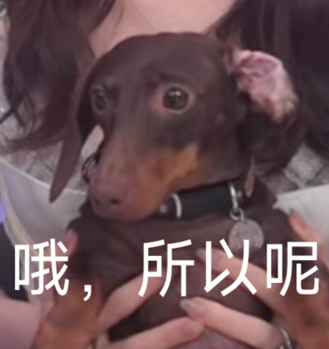 #李宏毅站姐卡点发赵露思# 哦，所以呢，我只知道今天好多站姐发了赵露思！汇总请看