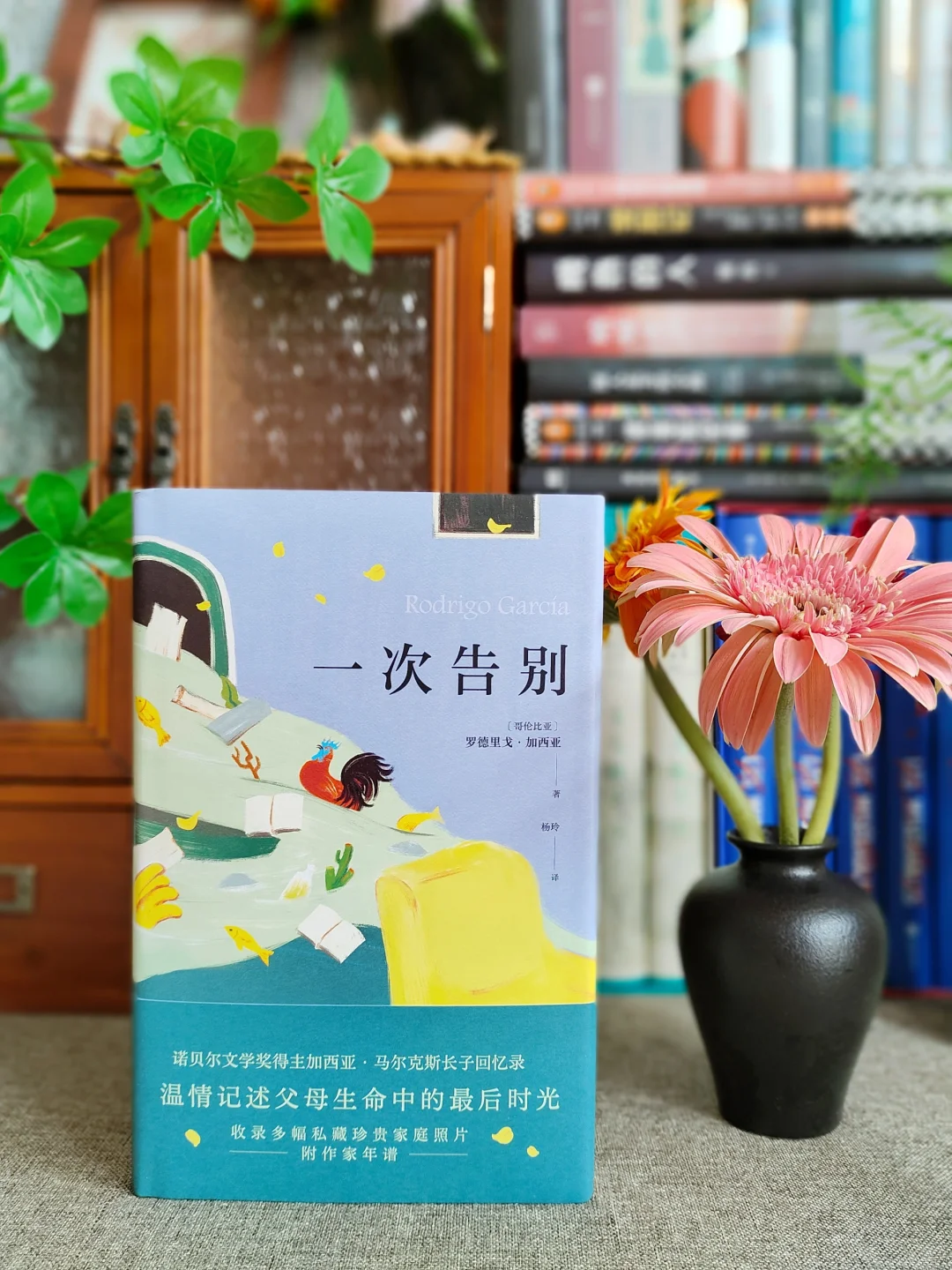 马尔克斯的最后时光，赠给无法避免告别的人