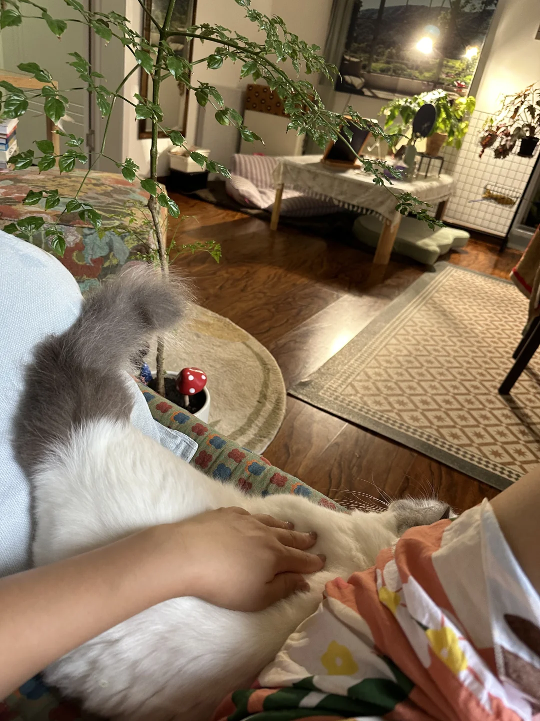 谁懂啊～