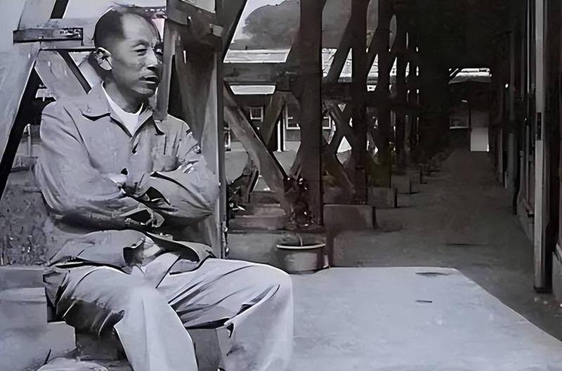 1990年恢复自由,张学良迎来的不是归乡,而是"时候不到"。

大陆这边动作很快