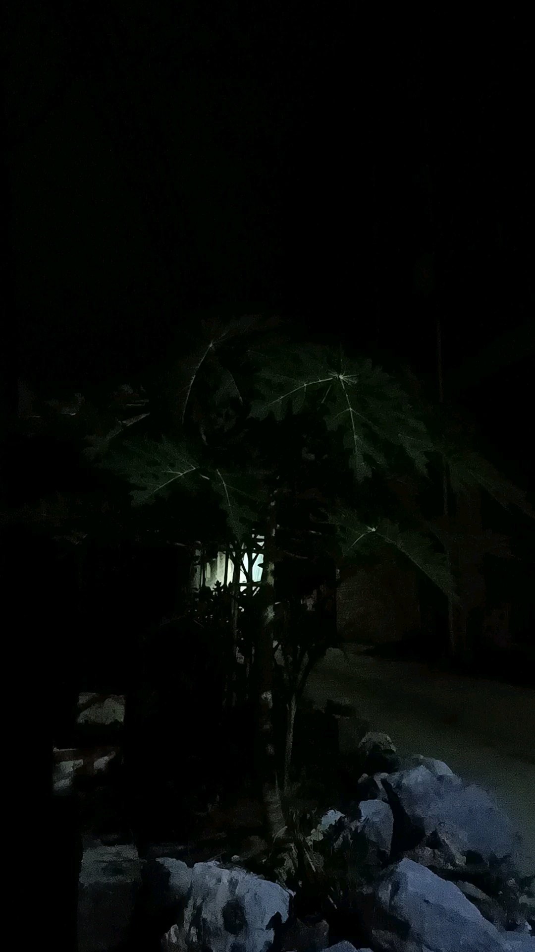 感受一下秋天虽然是体验卡 ​​​