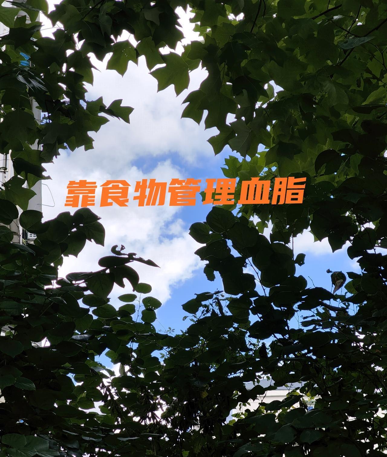 常年吃降脂药的人，身体里至少有五个地方，正在被悄悄改写。
①干净转氨酶悄悄冒烟