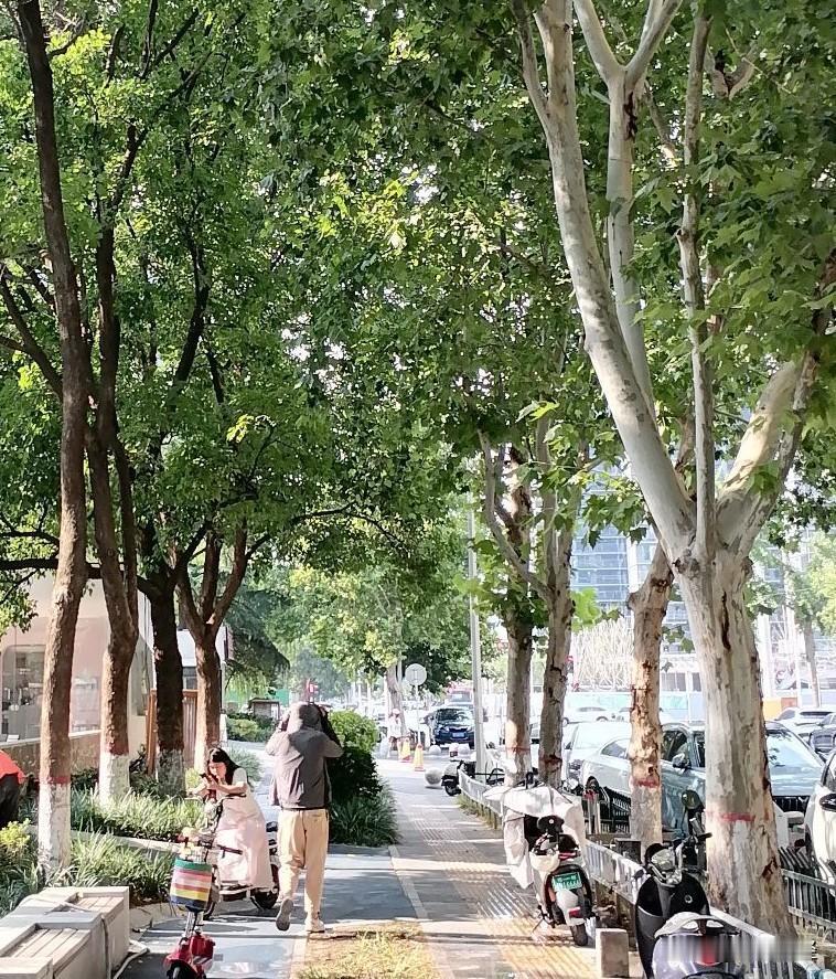 夏日炎炎，路上，一个蒙着头的人从一位少女身旁走过。然而，少女过于专注手中的手机，