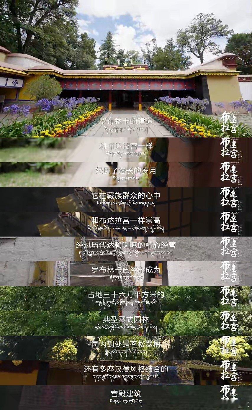 罗云熙文化输出从从容容游刃有余 罗云熙用声音传递文化力量！纪录片旁白生动好懂，把