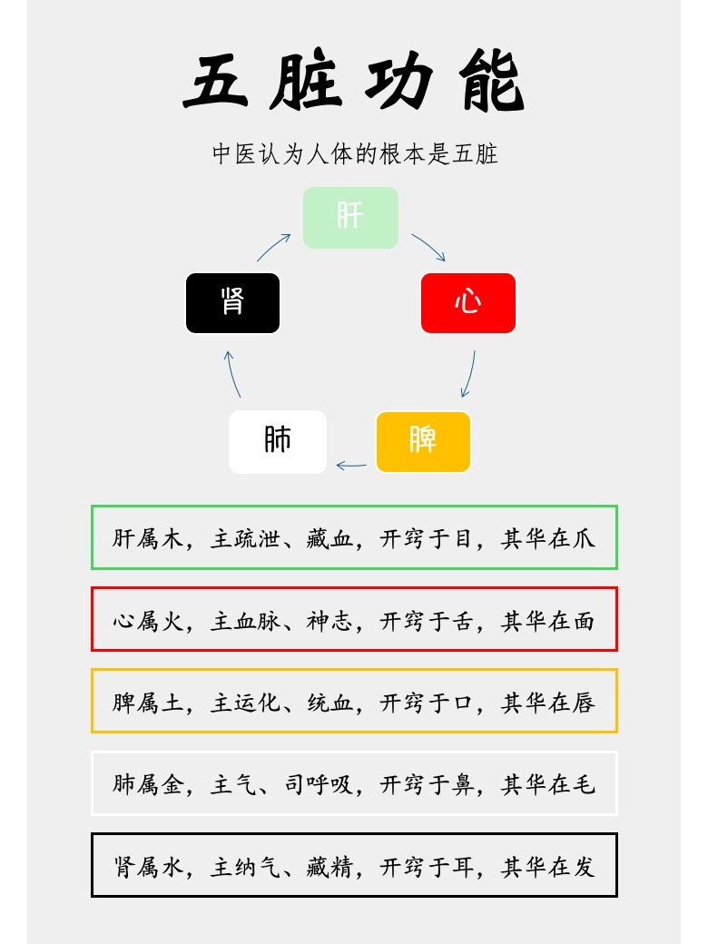 中医五脏功能中医的五脏指的并不是解剖学上的心肝脾肺肾，而是指人体的五种功能系统，