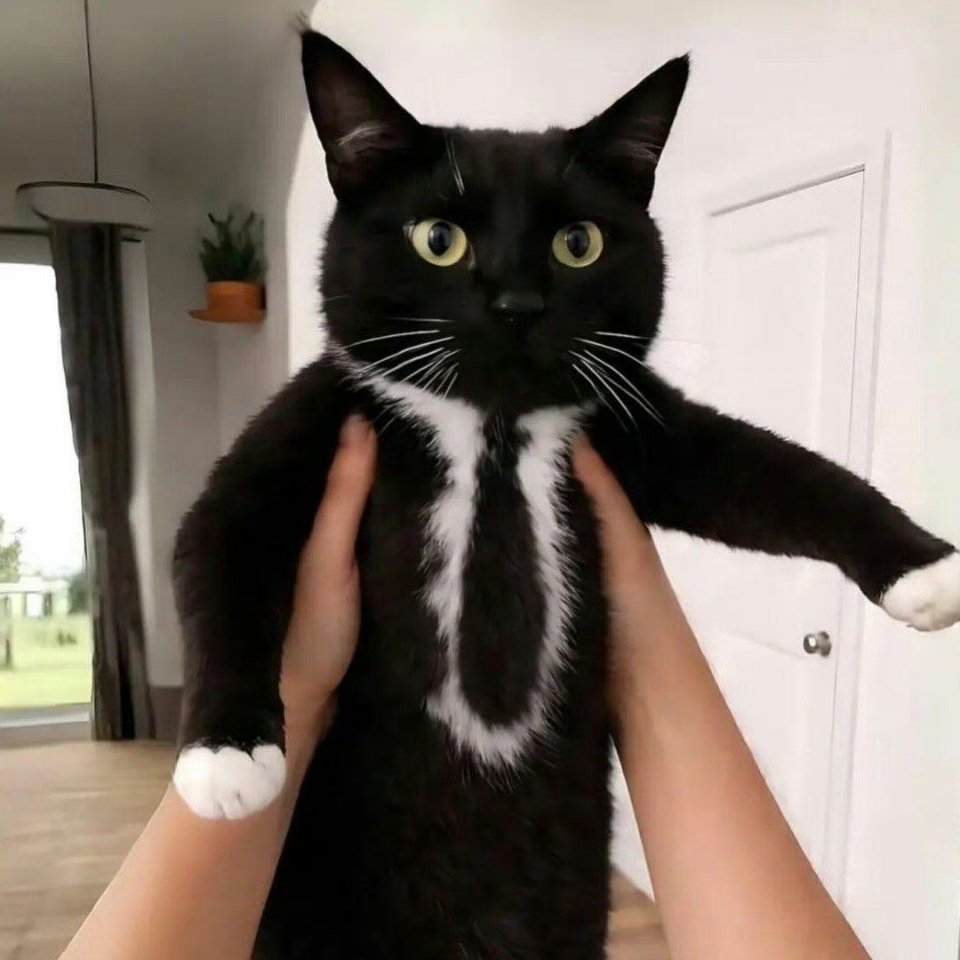 。 