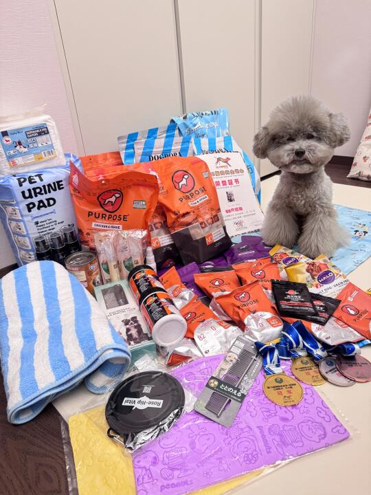 2025深圳宠物展结算