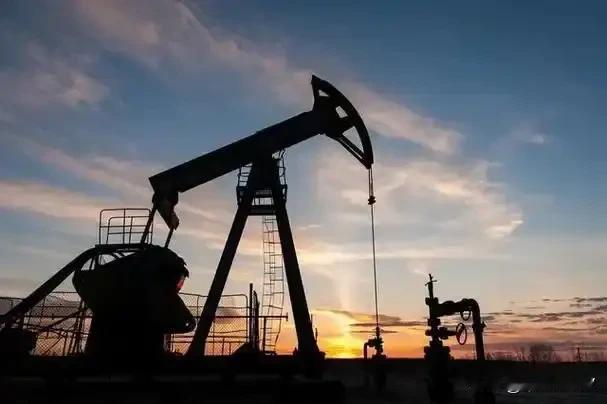 美伊战争还没平息，阿联酋又“搞事情”了，官宣5月1号起正式退出欧佩克和“欧佩克+