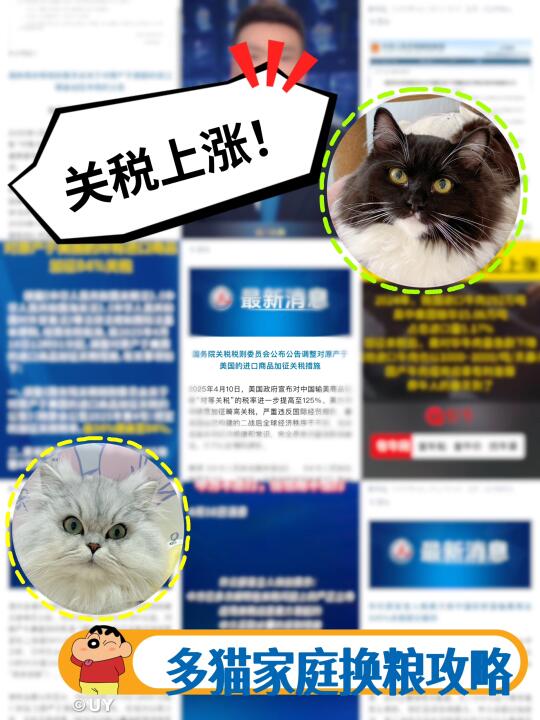 关税上涨钱包hold不住？换粮攻略来啦！