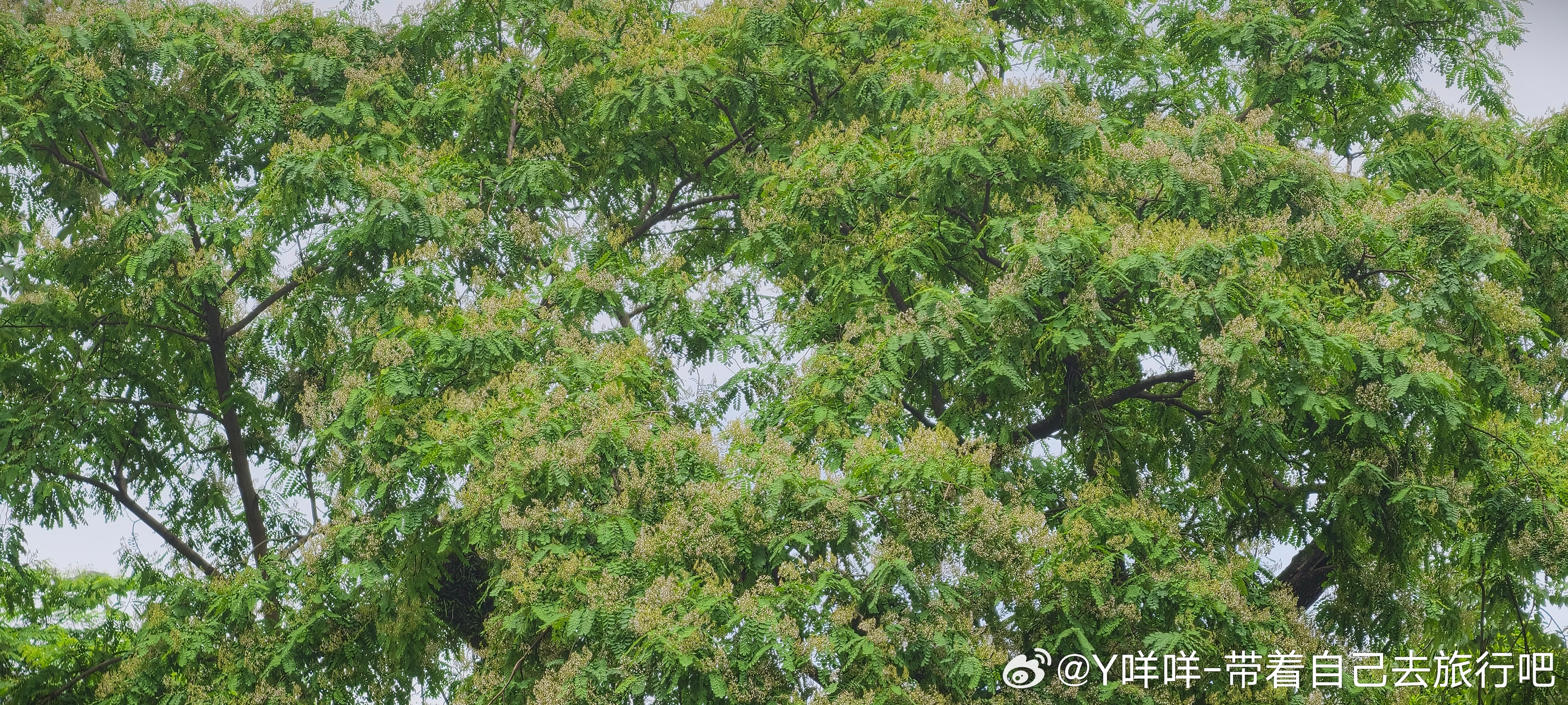 每日一善阳光信用 向善是一种文明，也是一种光明。善良之举，需要人人拥有，善良之歌