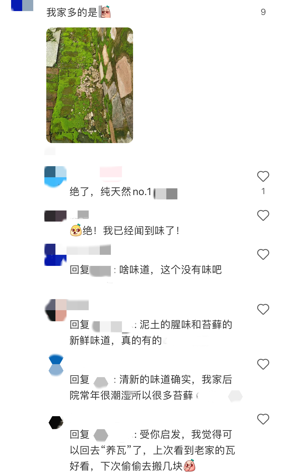 养砖是打工人最早的兴趣邪修 楼下捡的破砖用饮料瓶装着，接点雨水养着玩，居然慢慢有