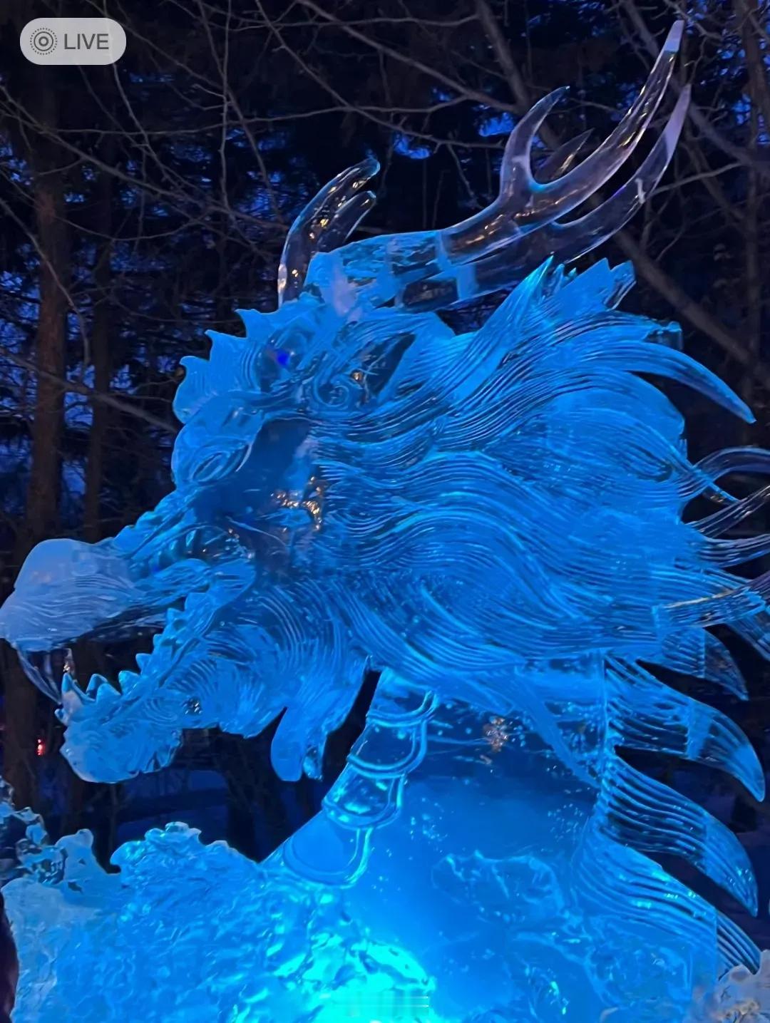 哈尔滨的旅游赢就赢在了格局上！近日，哈尔滨巨龙冰雕，被小游客掰掉了牙齿，就在大家