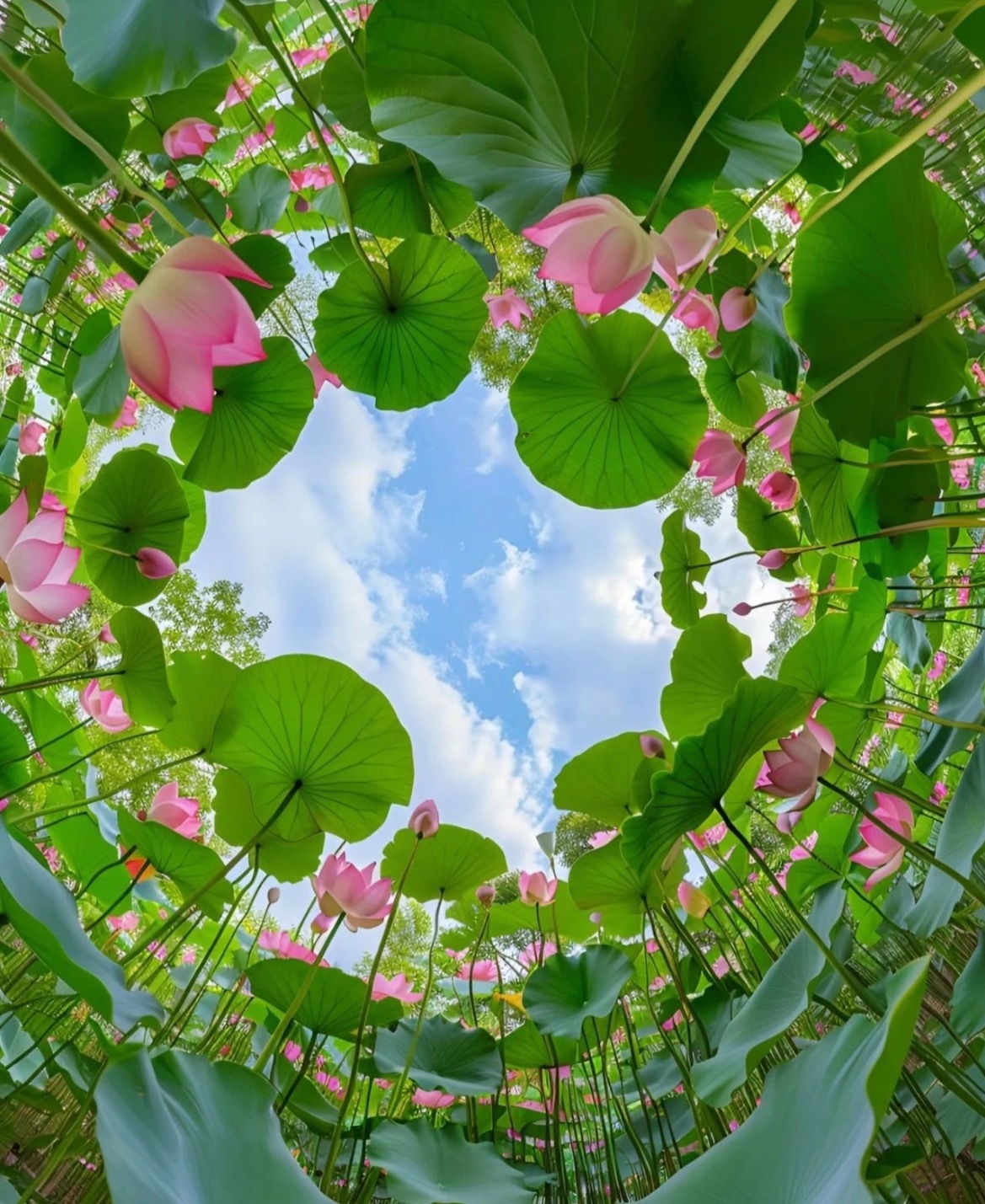 不同的季节，不同的风景，不同的心境，不同的憧憬。笑容足够灿烂，日子便无寒冬 