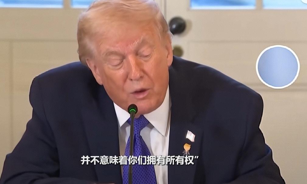 当美国前总统特朗普多次公开扬言，要“以任何必要方式”获取资源丰富的格陵兰岛时，整