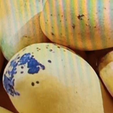 家人们，我最近get到了一个超绝的芒果剥皮法——用筷子剥皮，真的绝了！以前剥芒果