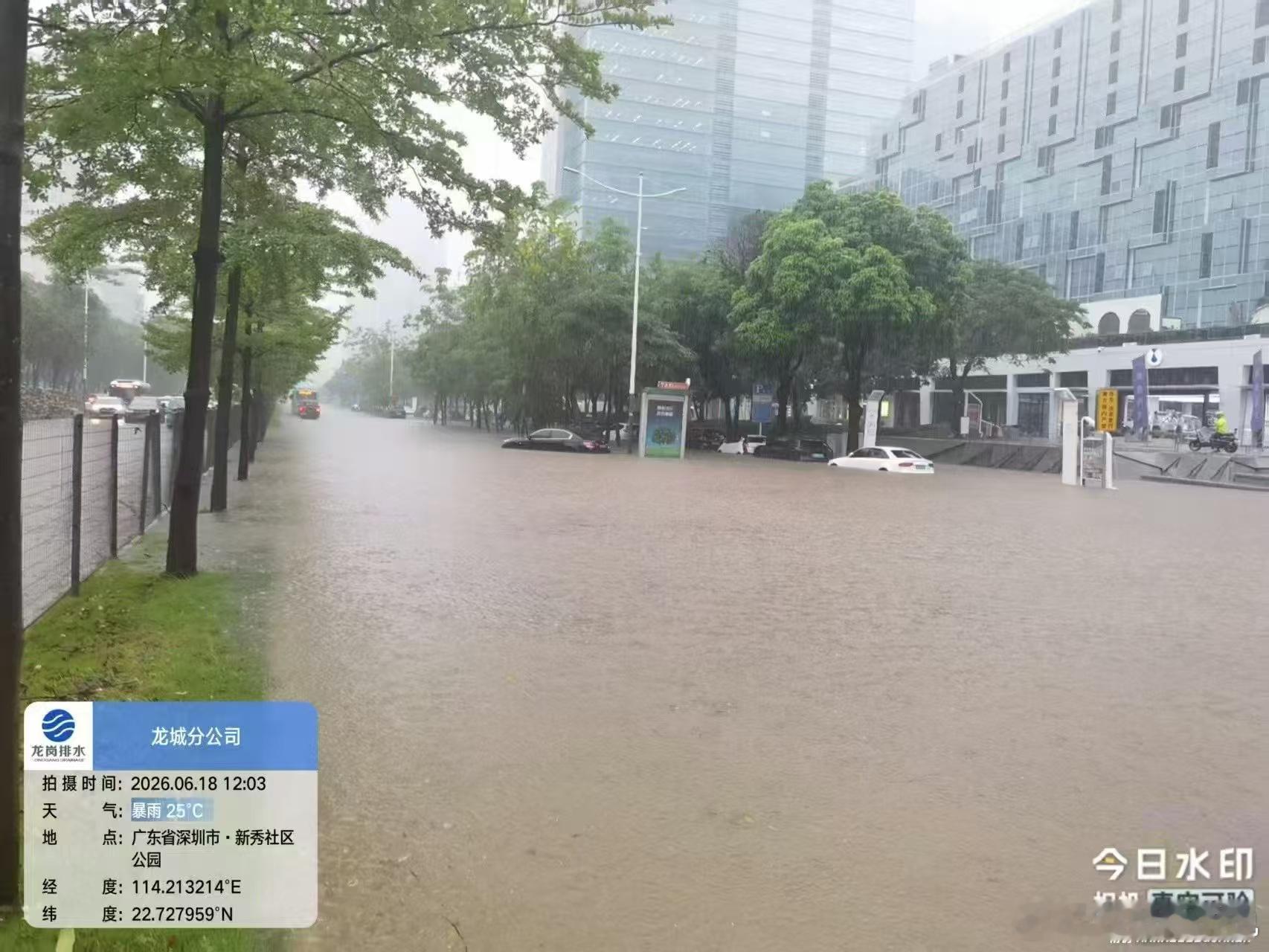 深圳3天发布2次暴雨红色预警已经下一周雨了这周运动量大打折扣了感受一下雨有多大上