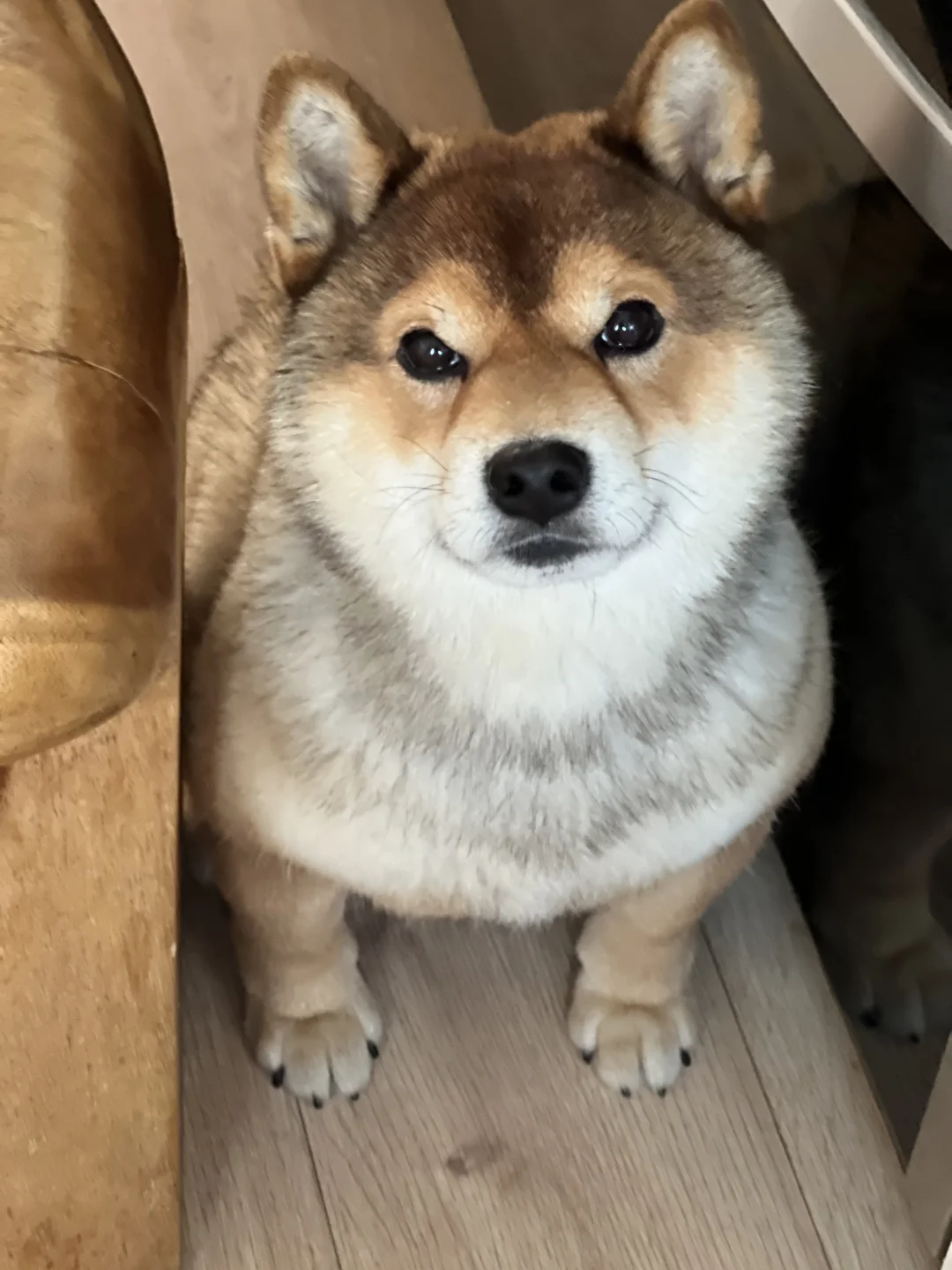 严丝合缝的坐上了