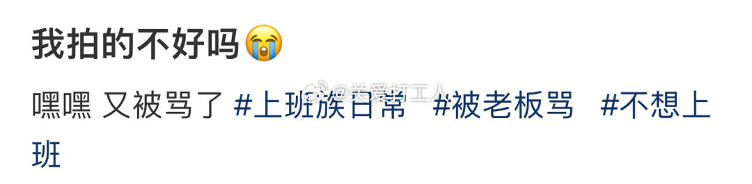 给领导拍的照片被骂了[苦涩]： ​​​