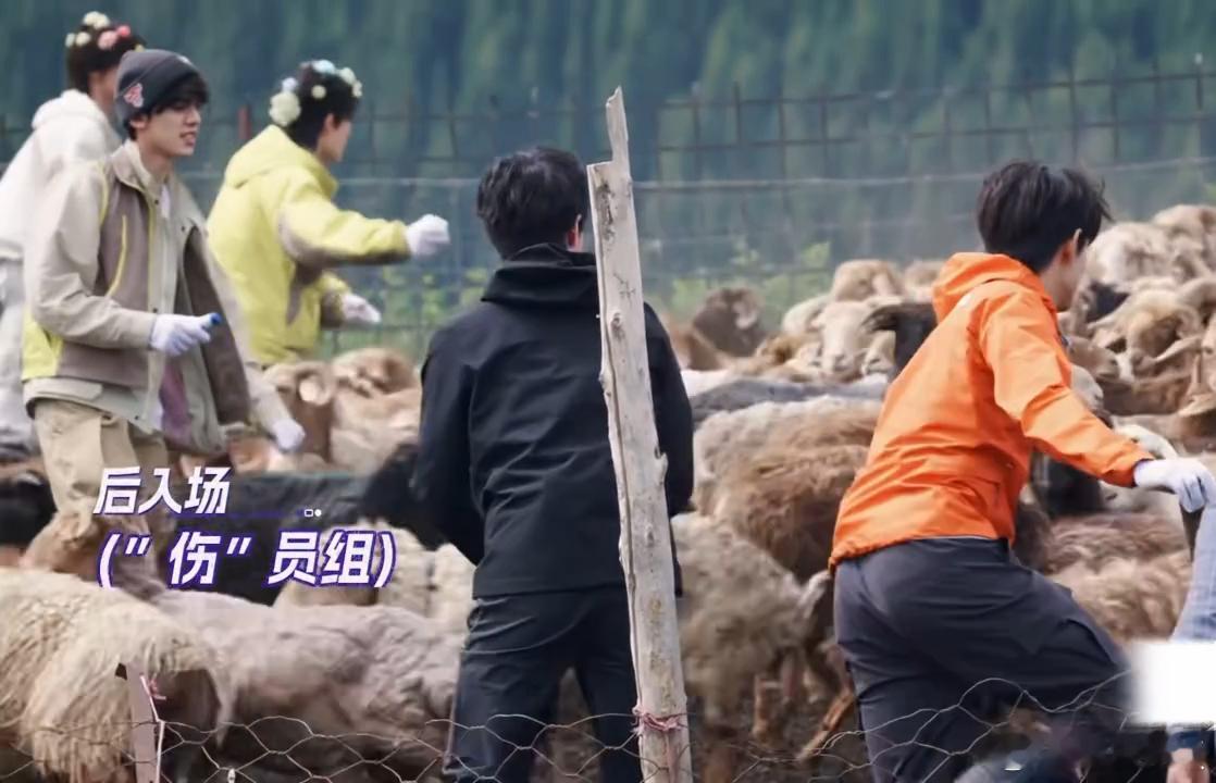 朱志鑫脚痛张极膝盖痛朱志鑫输出全靠吼难兄难弟组合上线！朱志鑫脚疼，张极膝盖疼，忍