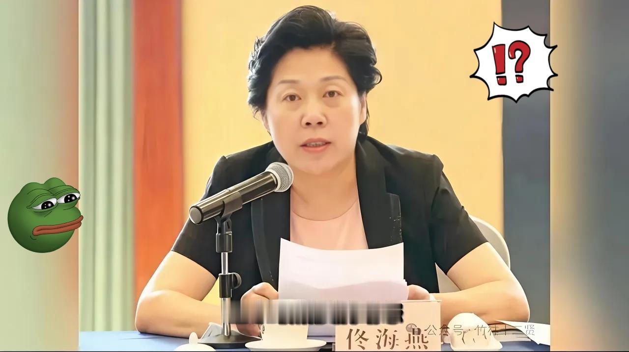 佟海燕被双开，我不意外。退休被查，我也不意外。唯独让我没想到的，是她把“退居二线