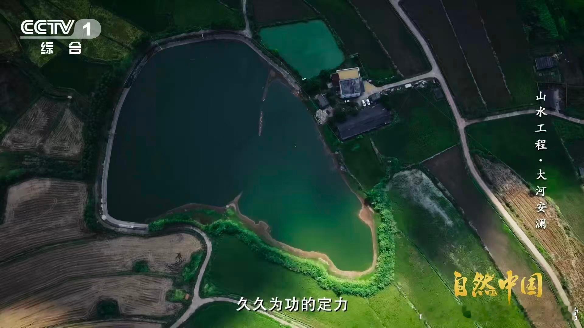 联合国3个词为中国方案点赞中国一直在为生物环境创造很多方案，真的太棒了，云和梯田