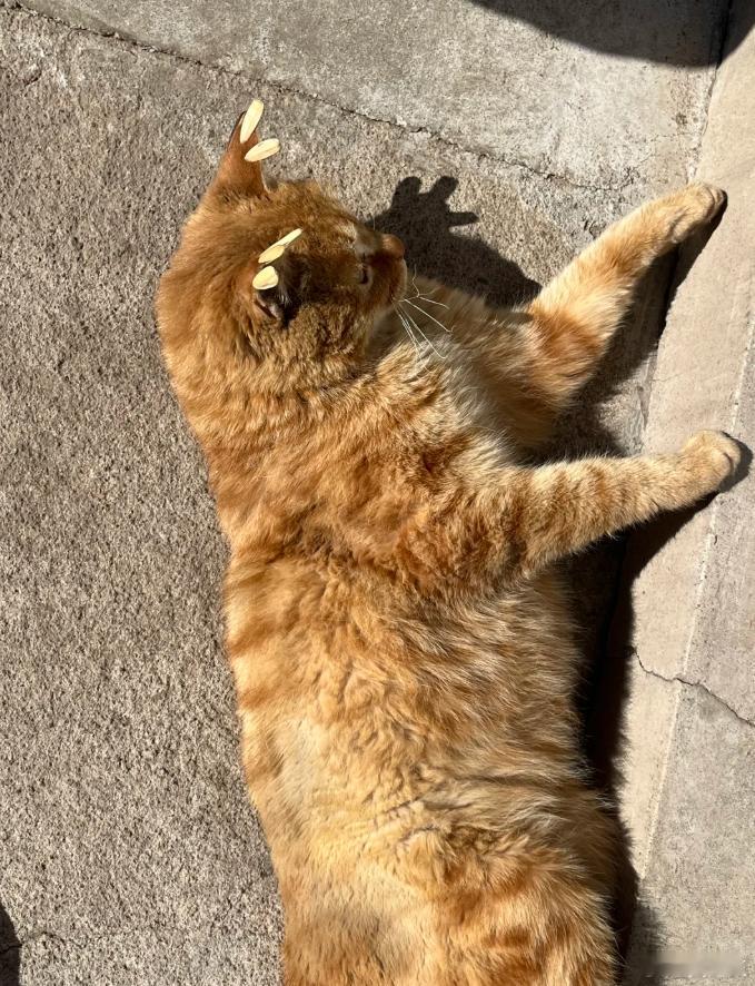 咱就是说，它会不会恨上我？ 