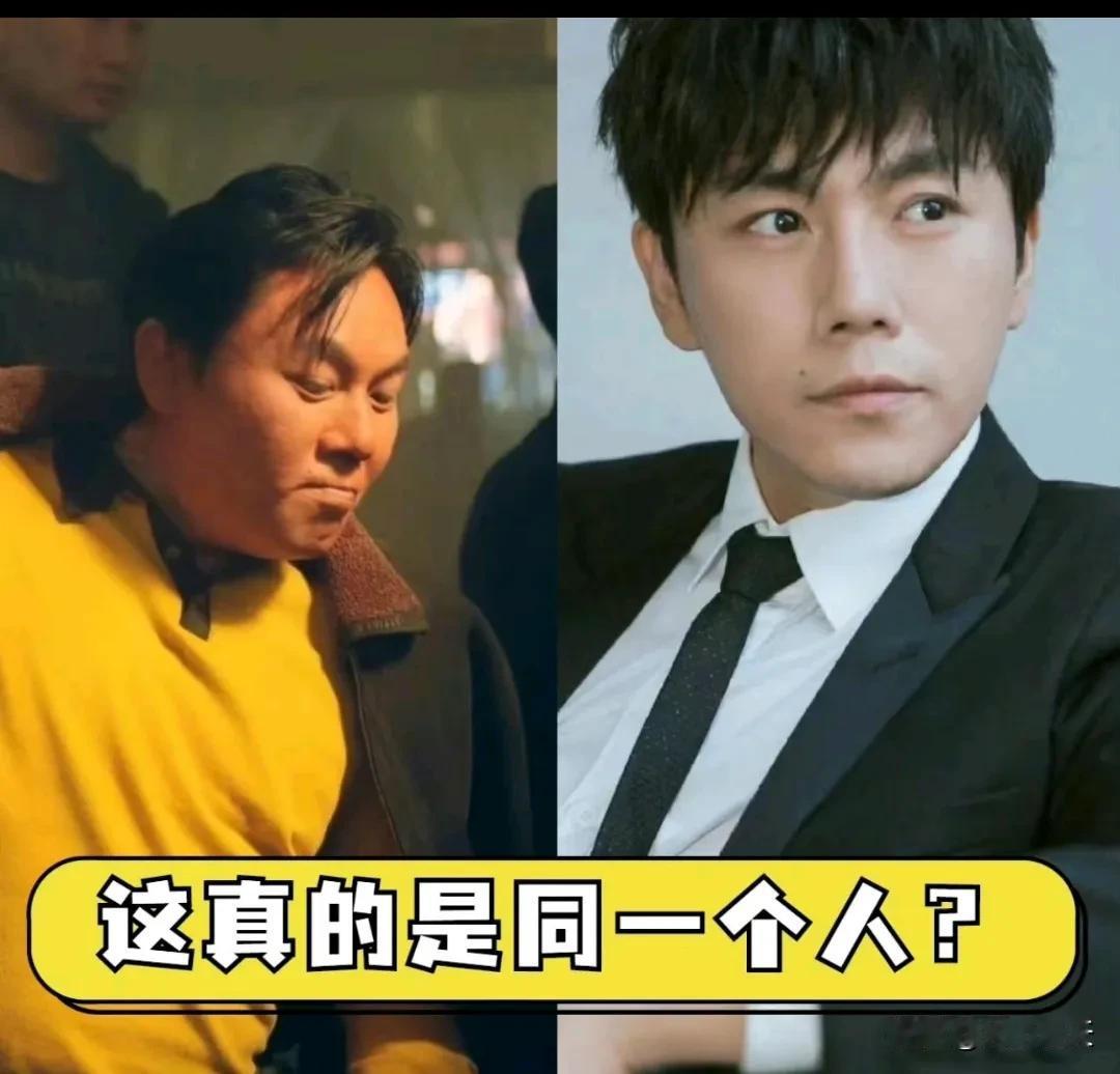 秦昊又胖回去了。