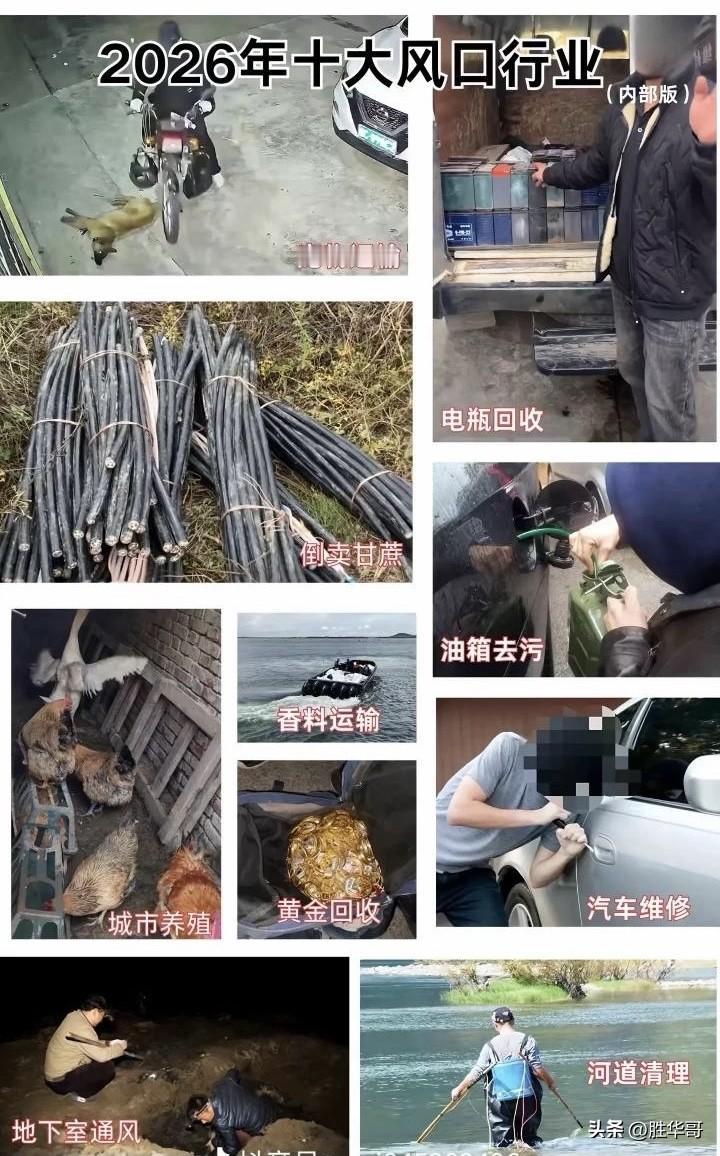 今年的大环境下经济还是很不景气，网约车行业更是卷得不能再卷，有些地方的公里单价都