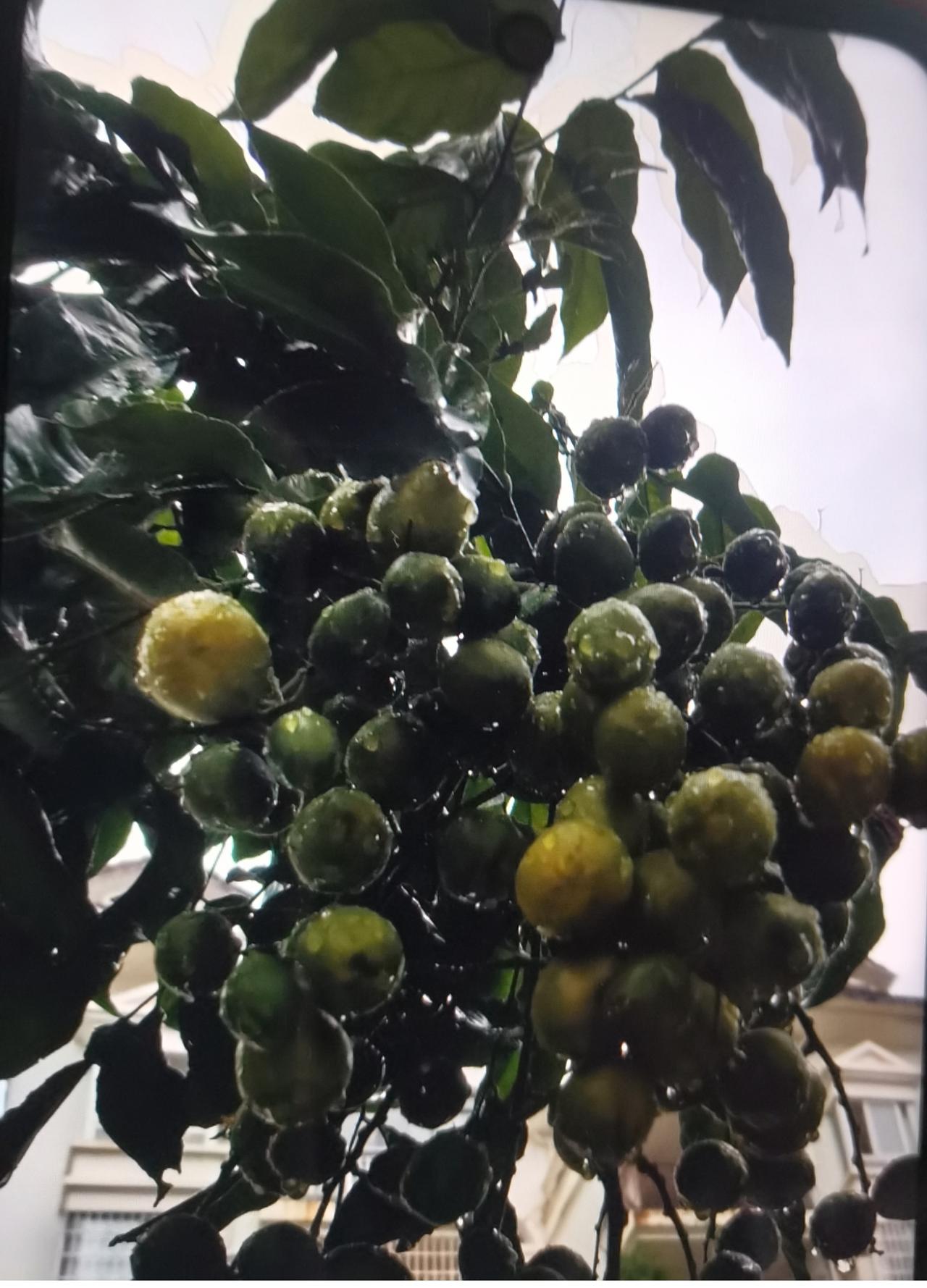 我们小资金依赖大资金，所以我们找到大资金跟随大资金就可以了，基本面看一眼F10即