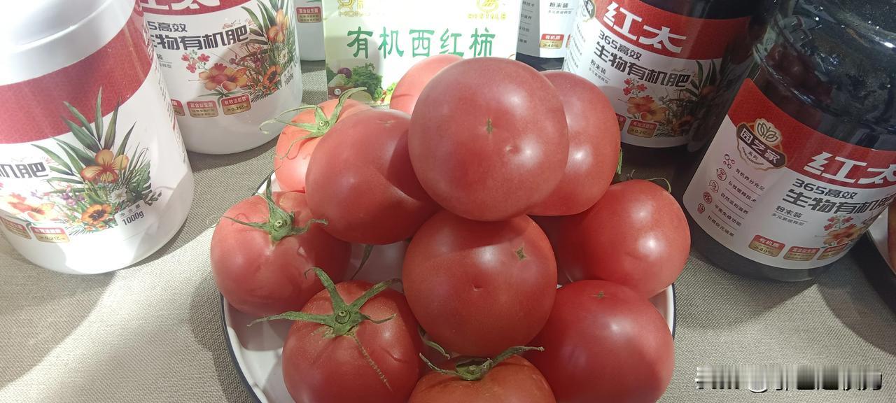 杨凌农博会一览