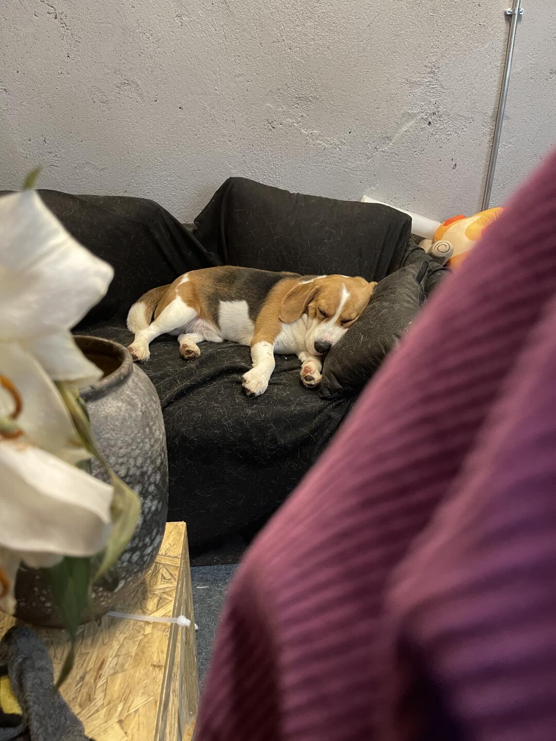 晚安😴