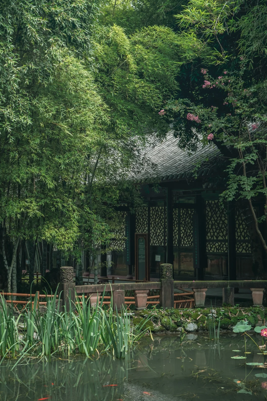 成都.适合一个人闲逛的100个地方（34/100）