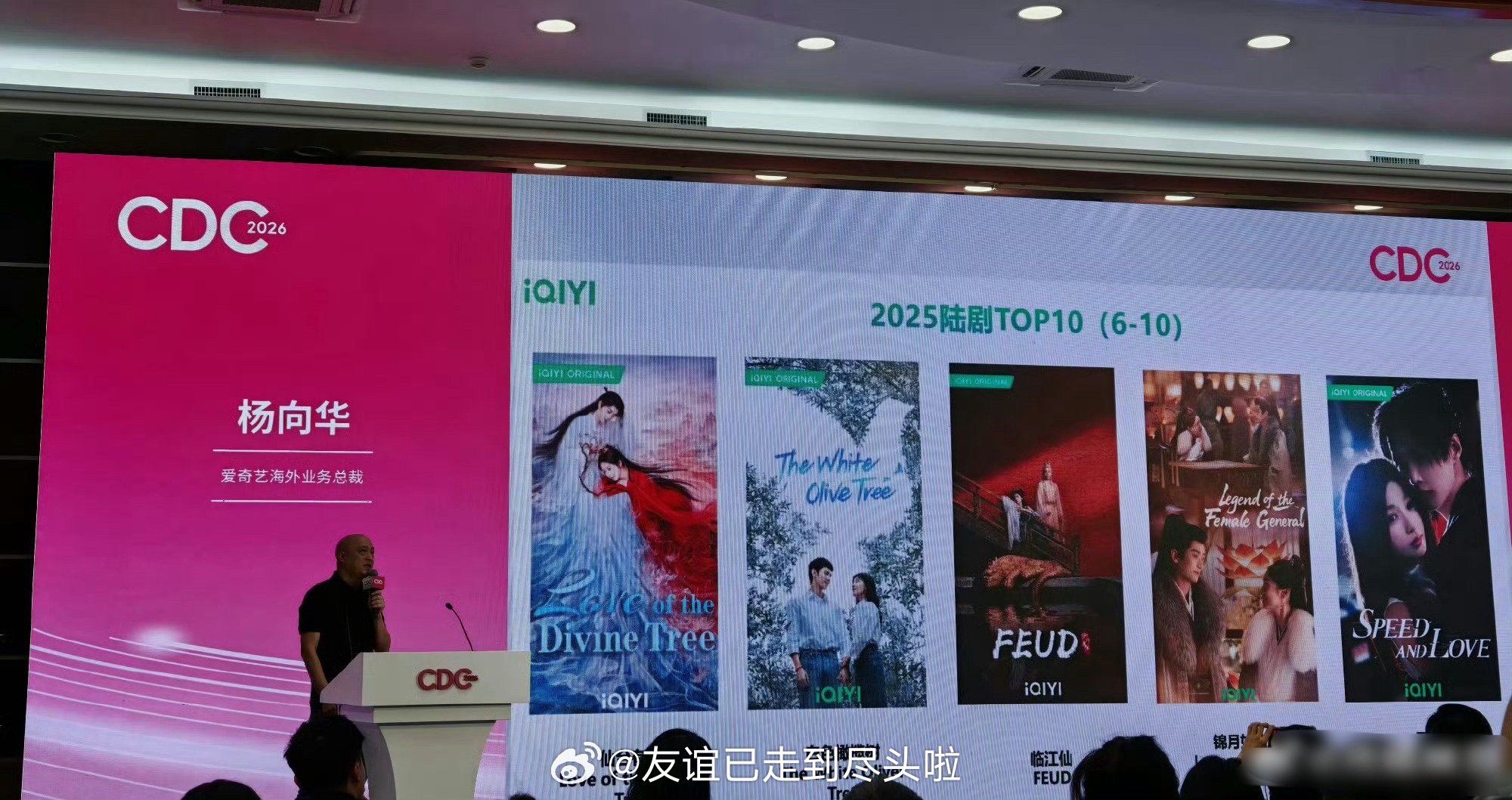 2025年🥝海外播放量前十的陆剧，你看过几部？张凌赫、徐若晗《爱你》白鹿、敖瑞