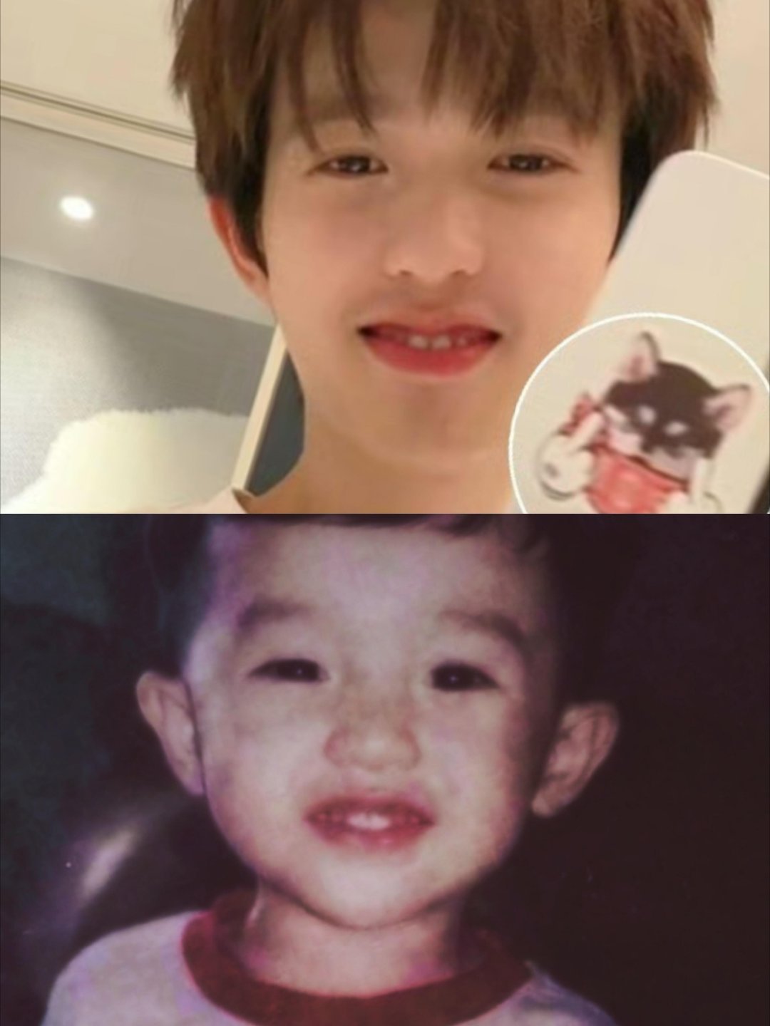 李昊门牙粉崛起吧哈哈哈好可爱牙齿真的好可爱，猪猪来的十个勤天  |   种地吧 