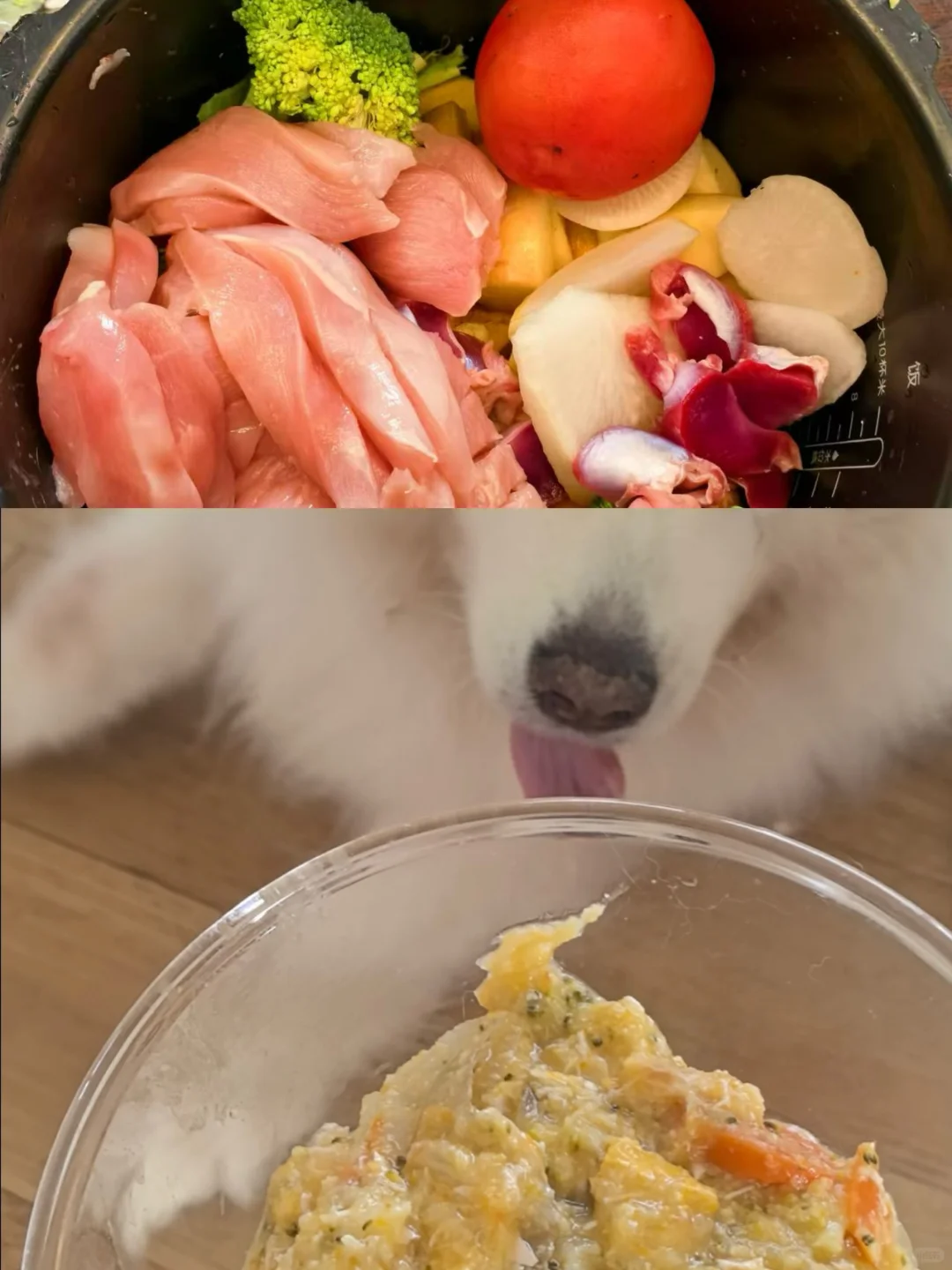 有手就能做的狗狗康复狗饭，吃完能跑了