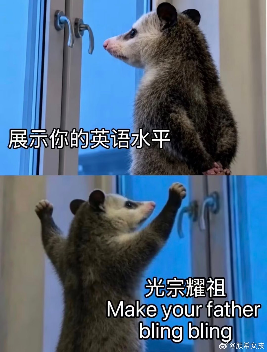 AI时代还有必要学英语吗这也不是想学就能学会的我上学学了这么多年英语，还是很塑料