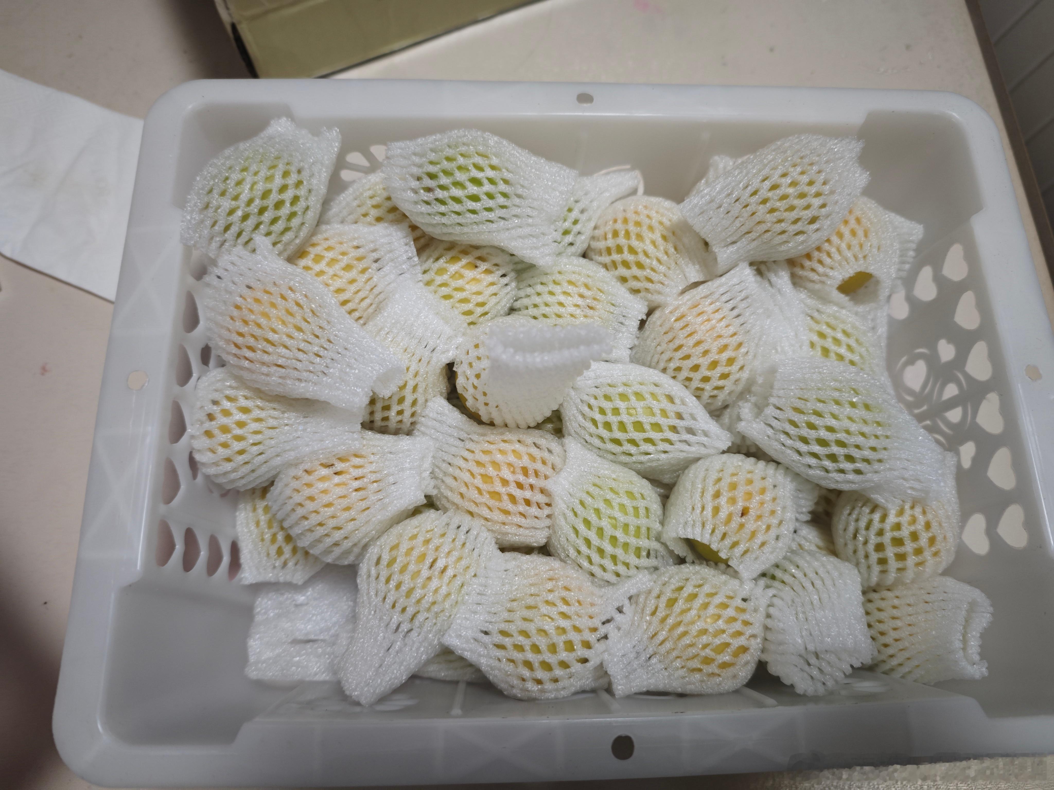 我的小白杏到啦，感谢乌鲁木齐，感谢新疆，感谢小白杏，也感谢把它飞送过来的顺丰很好